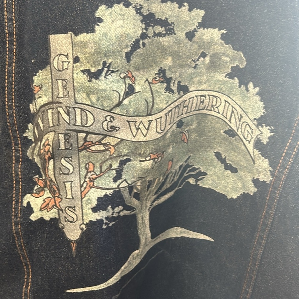 Men’s small denim jacket. Genesis wind and wuthering print on backside